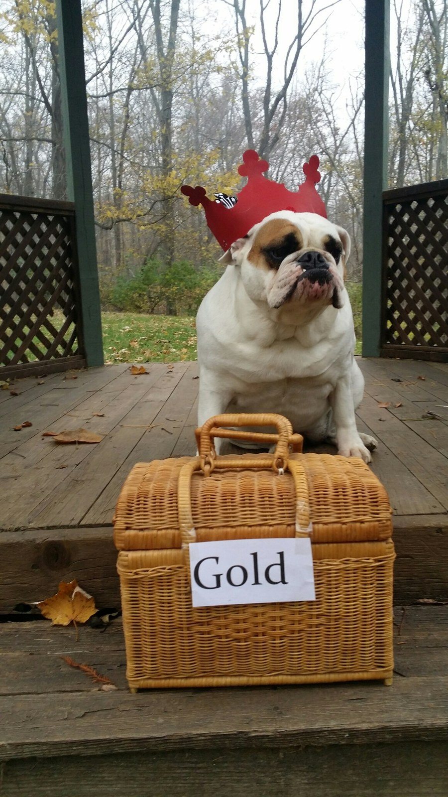 Eunice's Love Is Worth Her Weight In Gold