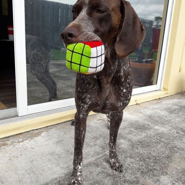 "They Call Me The Brains Of The Family"