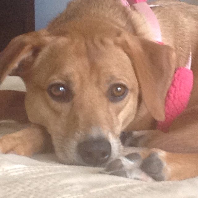 Molly At Rest