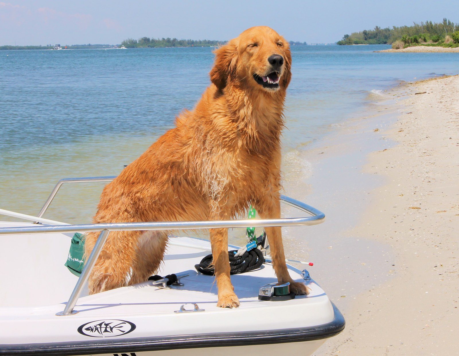 River Retreiver