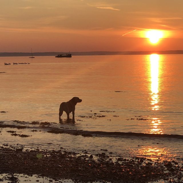 Sunrise View