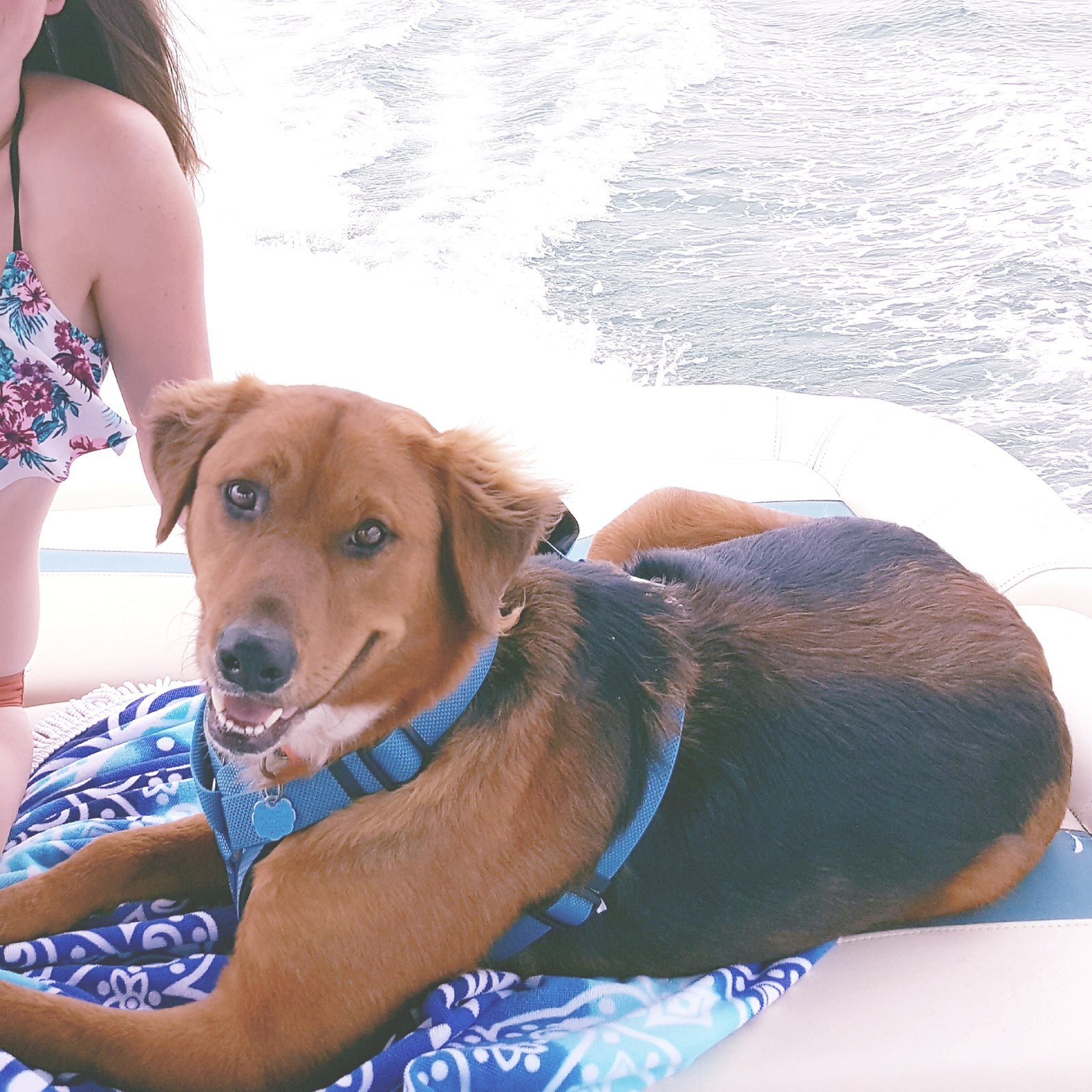 Summer Lovin