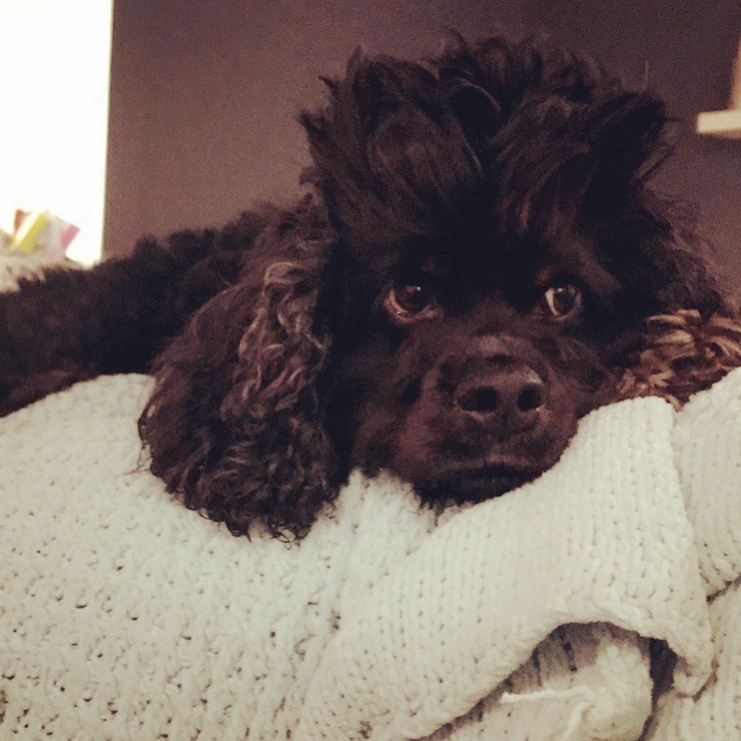Bad Hair Day :)