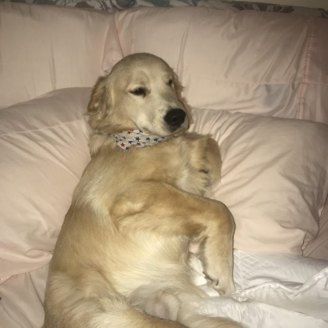 Can We Go Back To Bed Yet?