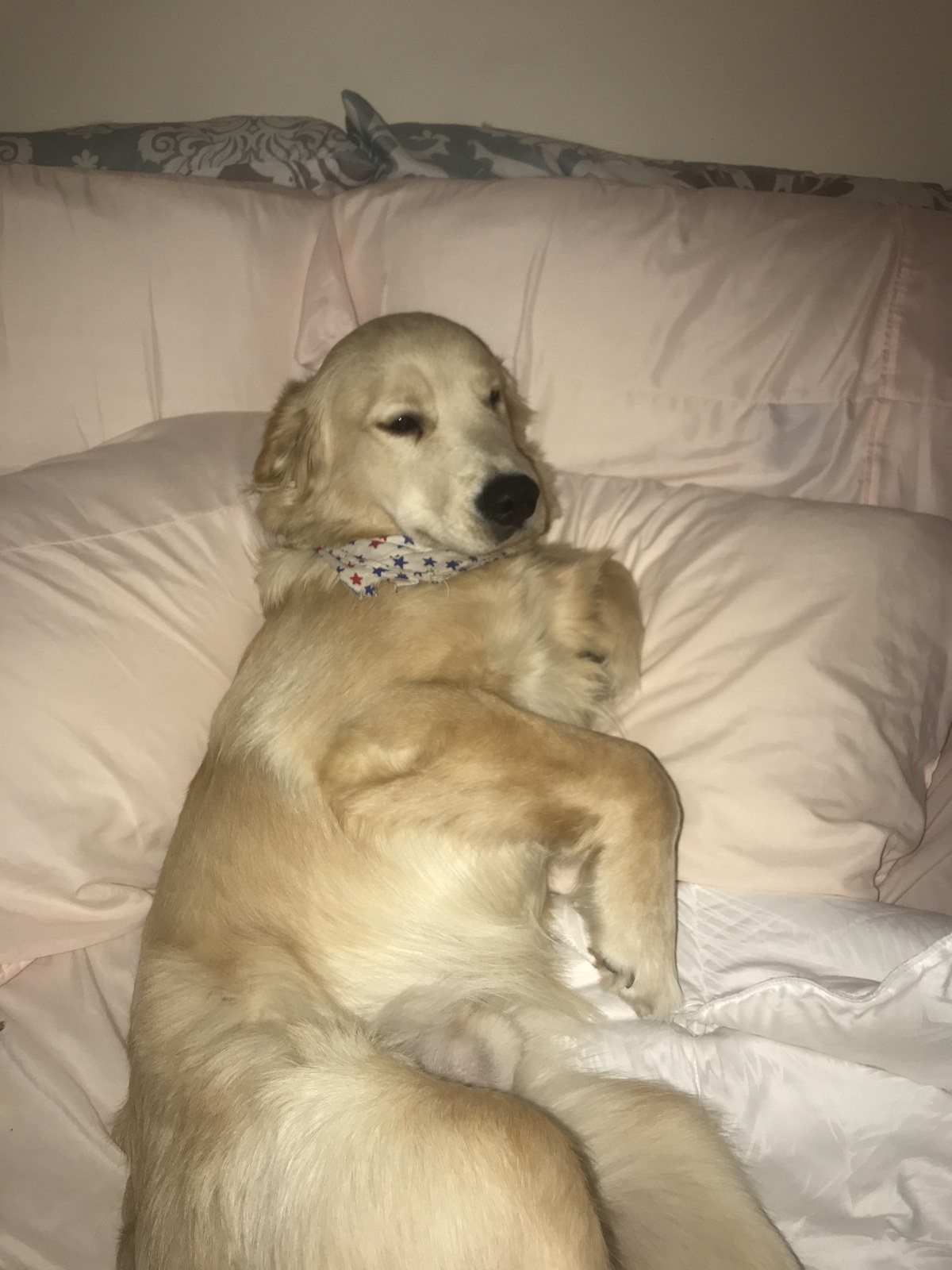 Can We Go Back To Bed Yet?