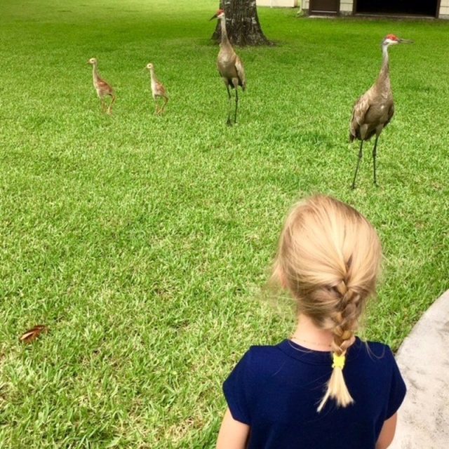 Reverse Photo Bomb?