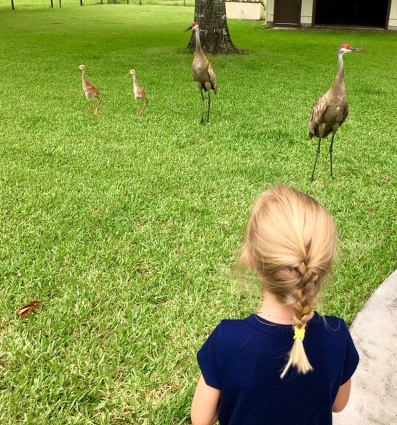 Reverse Photo Bomb?