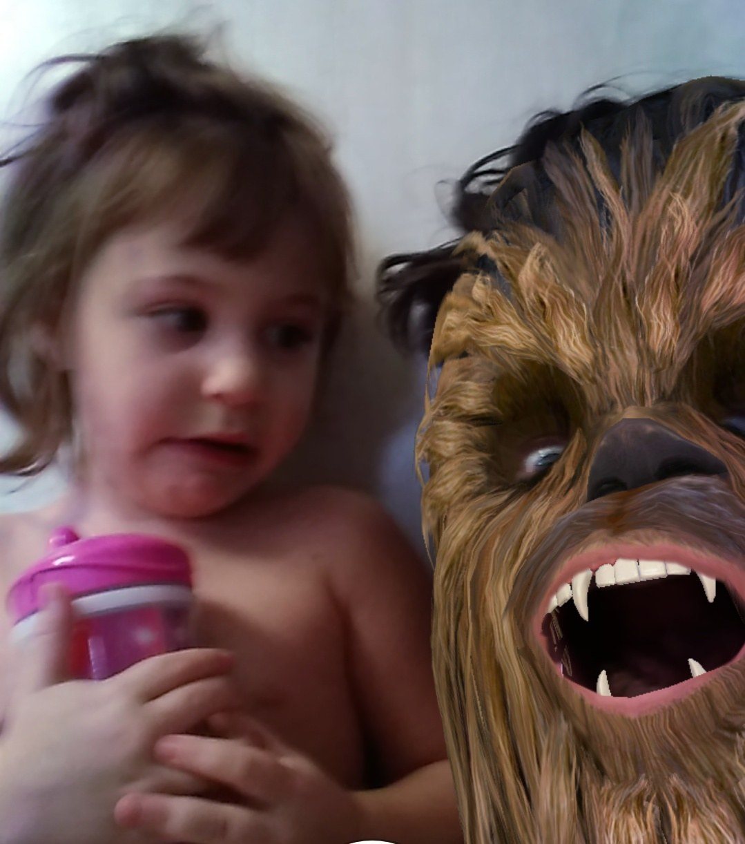 Help Me!!!! It's Chewbacca!!!!