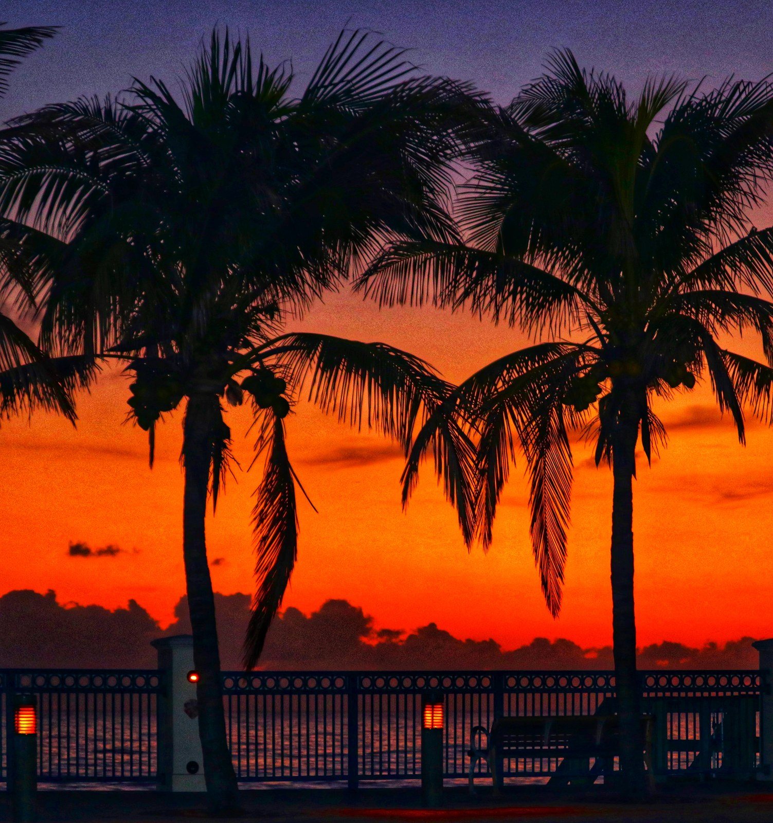 Predawn At Sexton Plaza