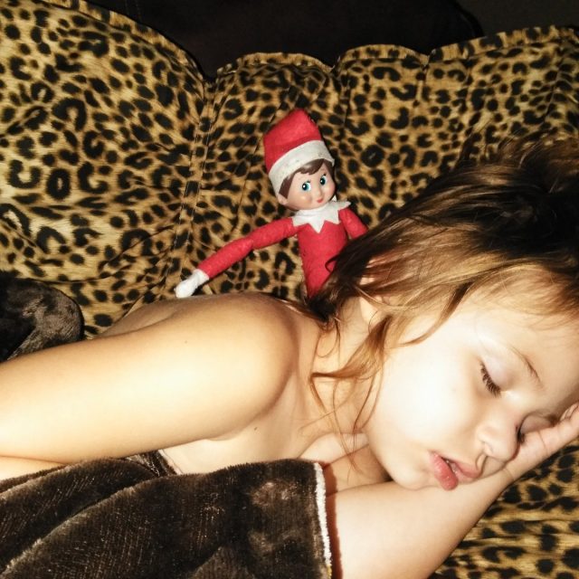 Elfie Is At It Again!!