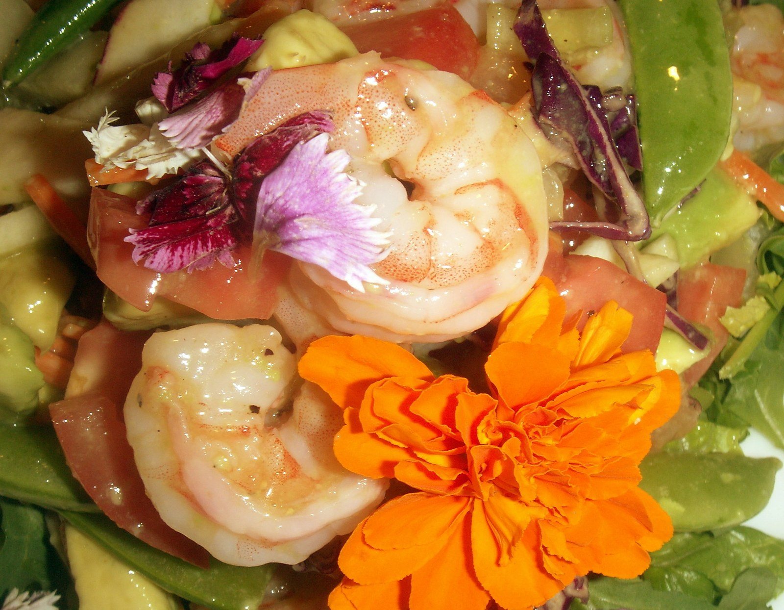 Shrimp, Avocado & Edible Flowers - Yummm!