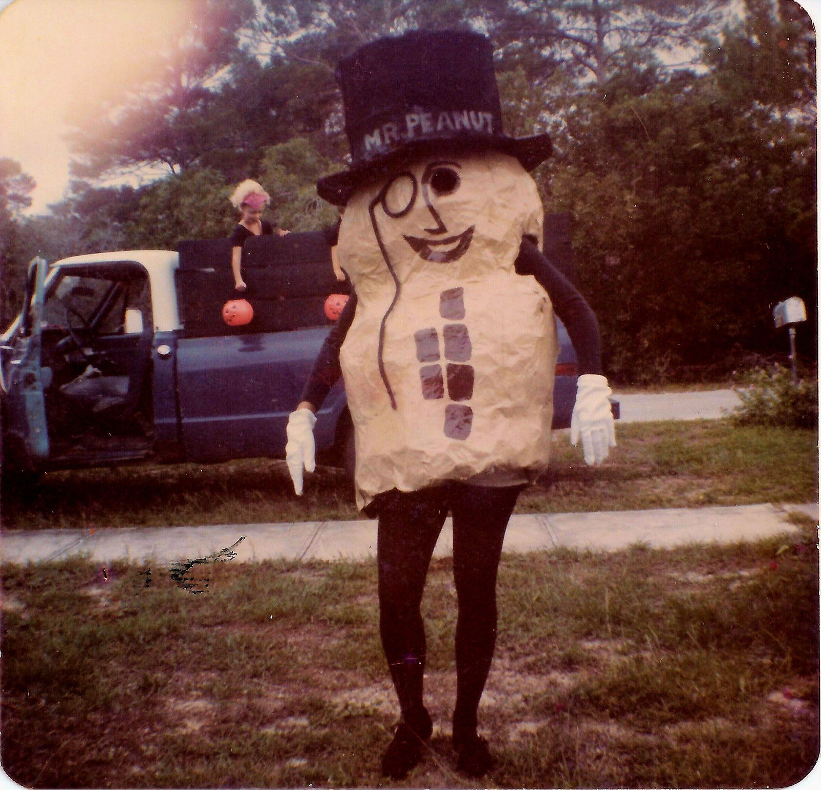 My Paper Mache & Chicken Wire Mr. Peanut