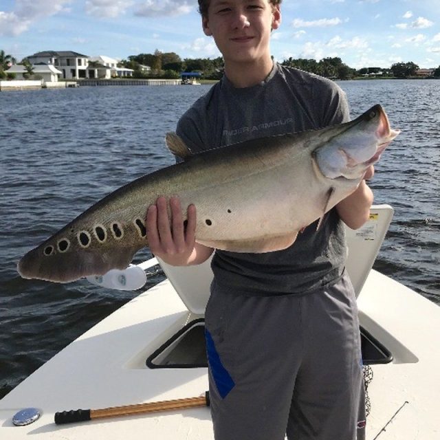 Jason's Catch