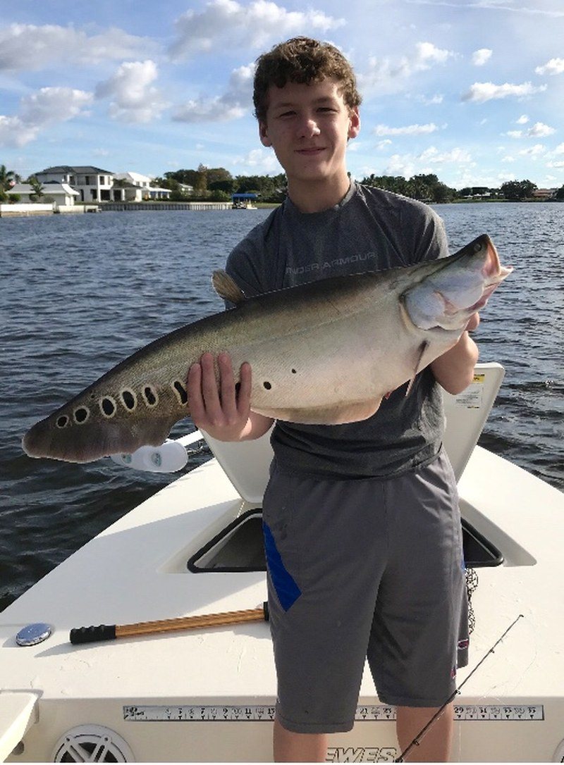 Jason's Catch