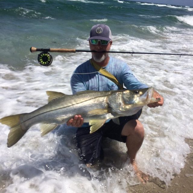 Snook On Fly