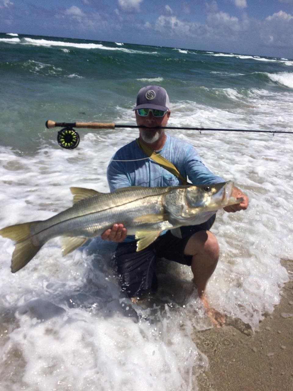 Snook On Fly