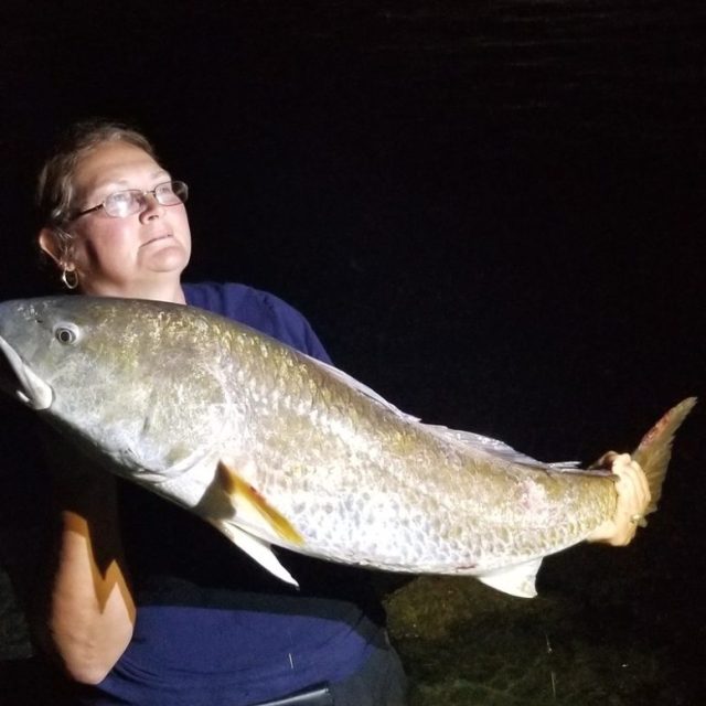 First Bull Red! 42 Inches