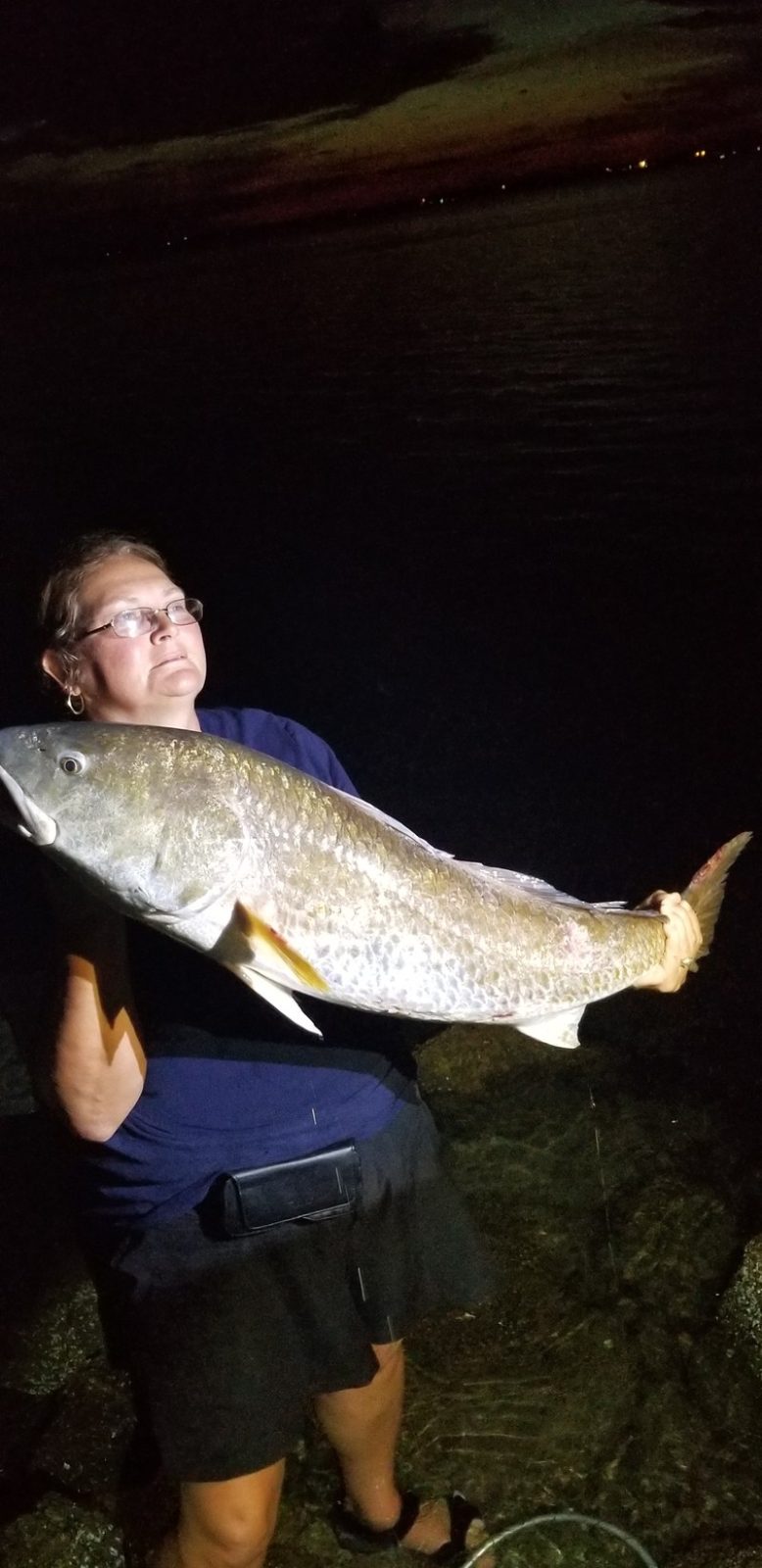 First Bull Red! 42 Inches