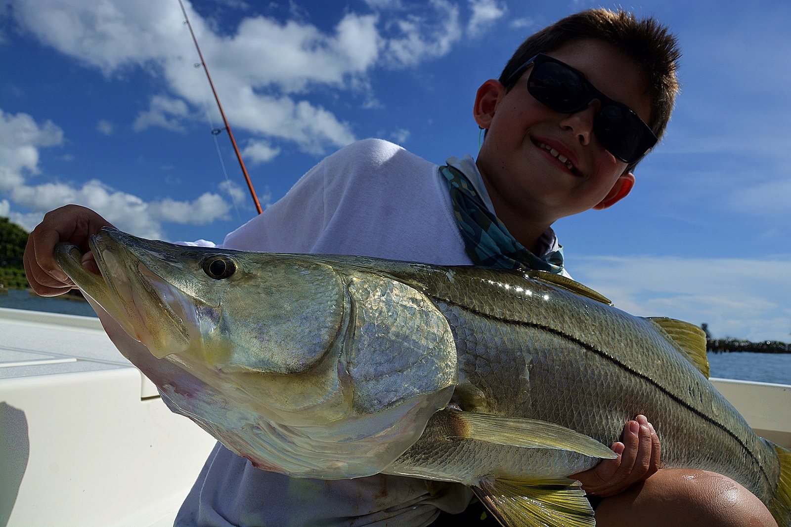 The One Fish That Brings People To The Treasure Coast.