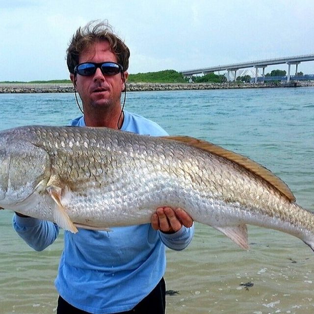Bull Redfish From The Sebastian Inlet
