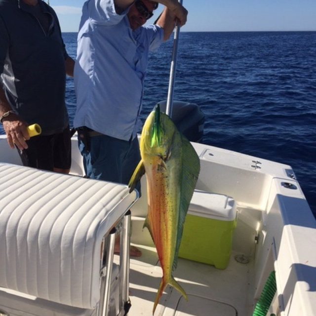 Off Shore Fishing Frenzy.....