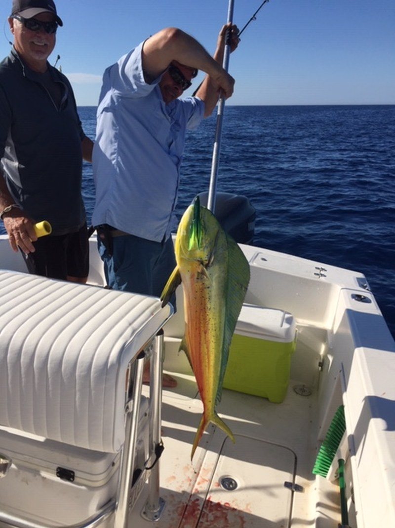 Off Shore Fishing Frenzy.....