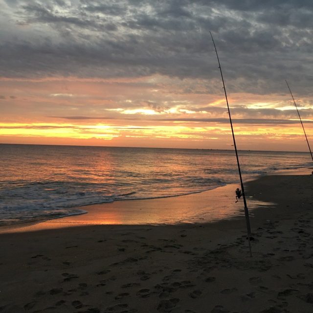 Early Morning Fishing