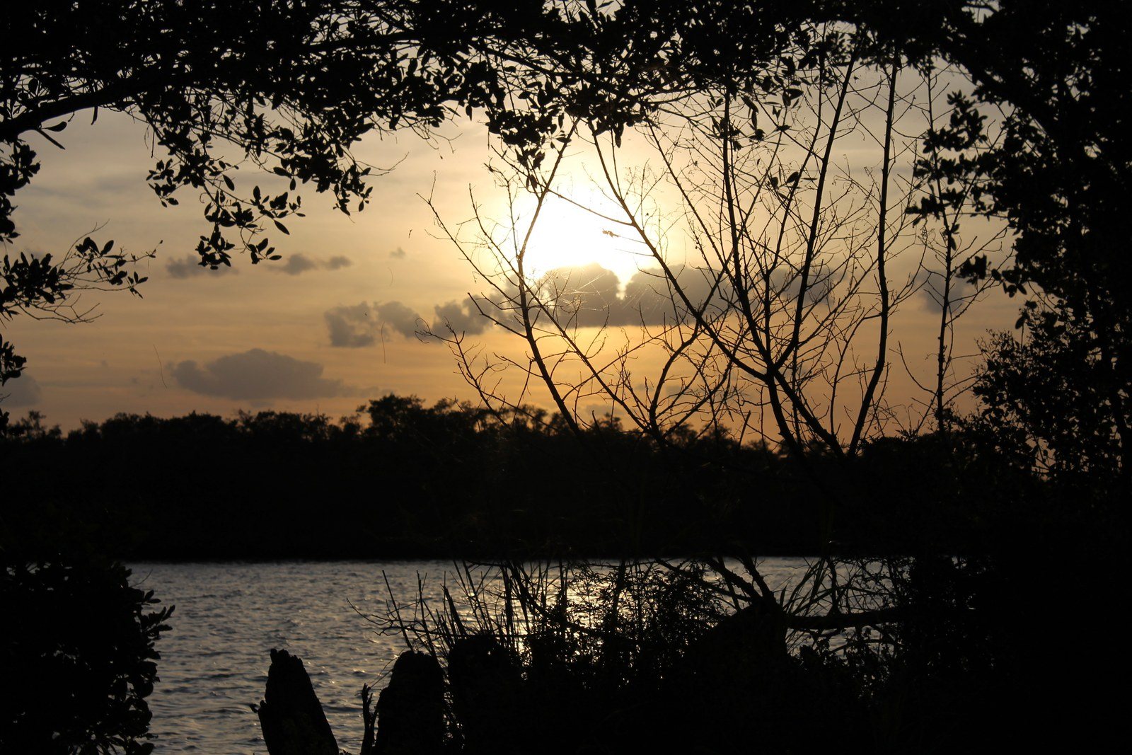 Sunset On Junglel Trail