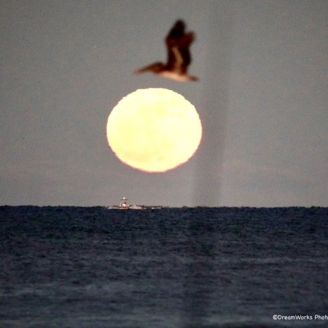 Full Moon Over The Beach