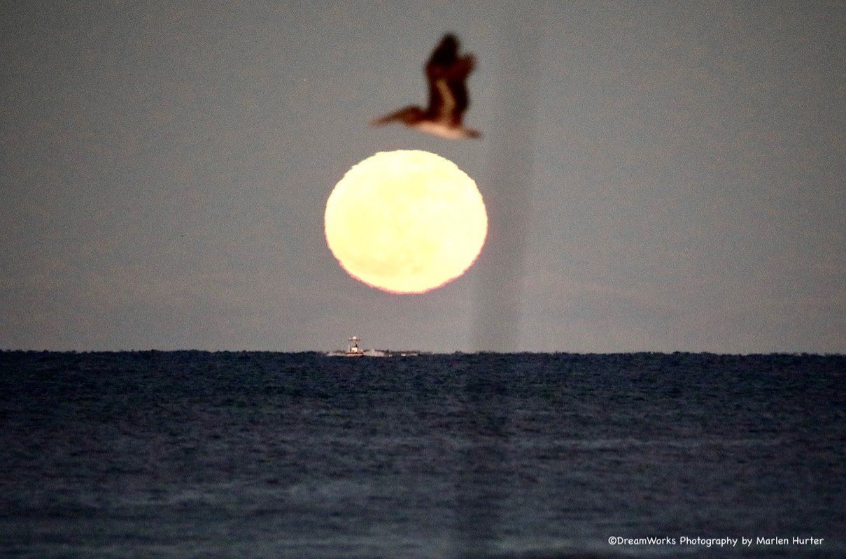 Full Moon Over The Beach
