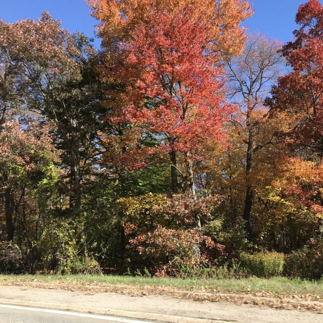 Highway Fall
