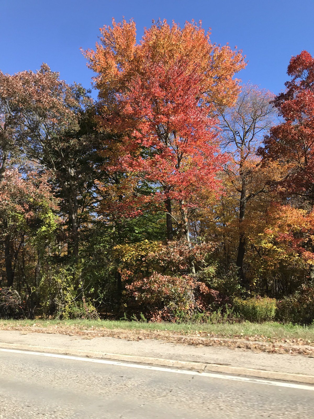 Highway Fall