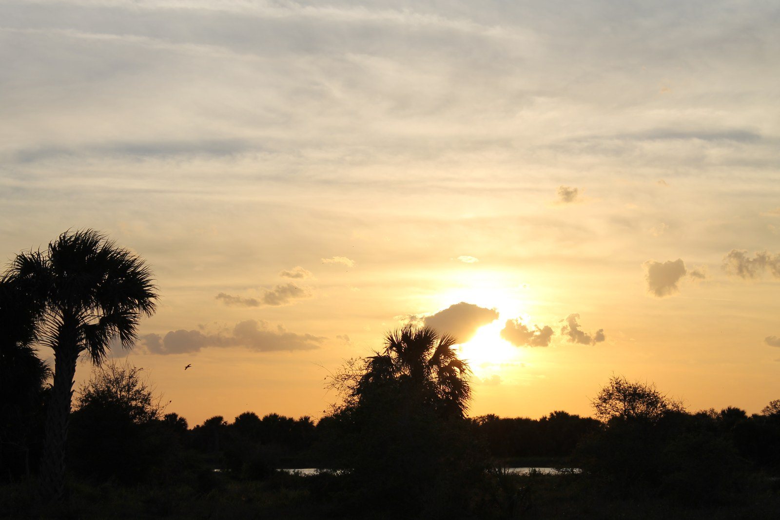 Indian River Sunset