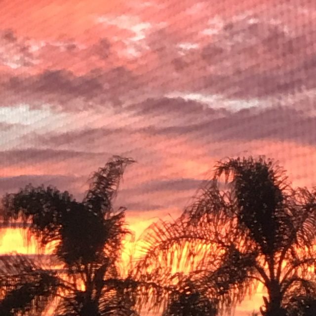Sunrise In Vero