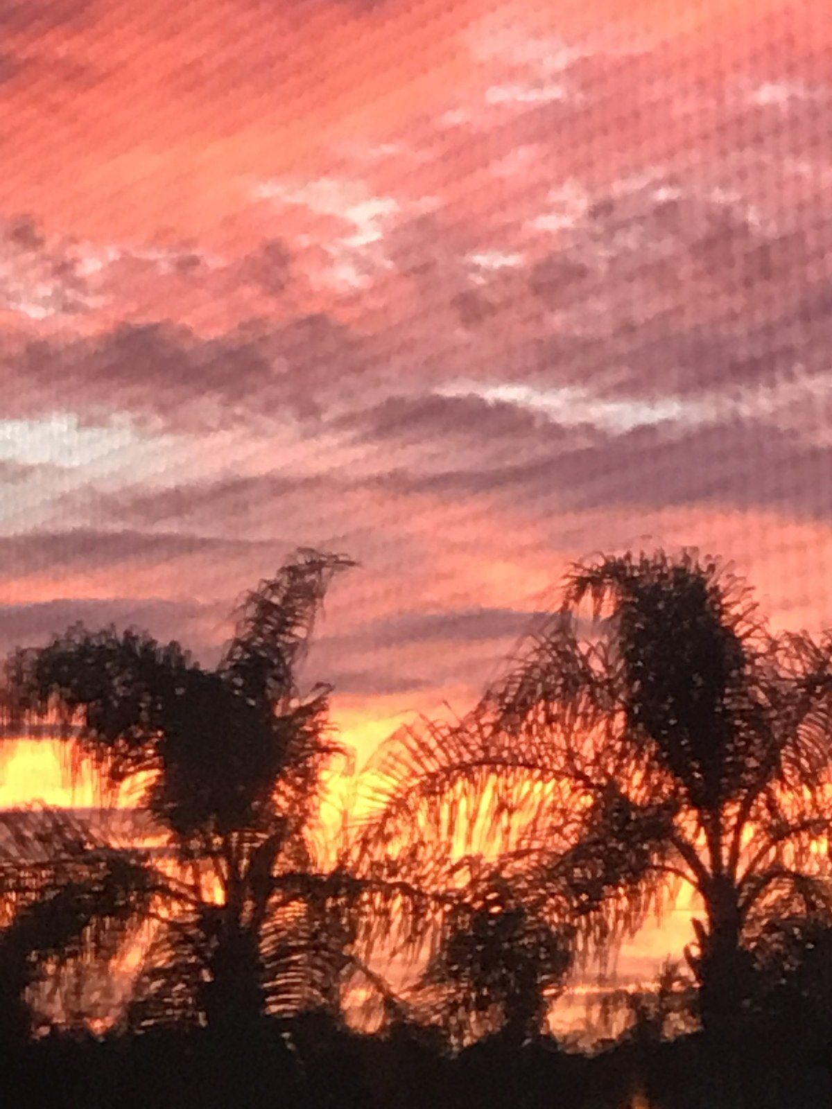 Sunrise In Vero