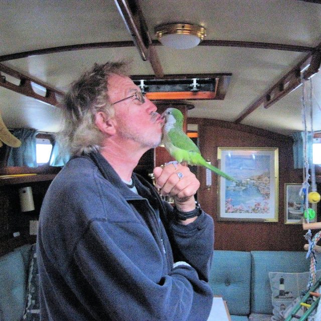 VB MARINA LIFE SAILBOAT & BIRD