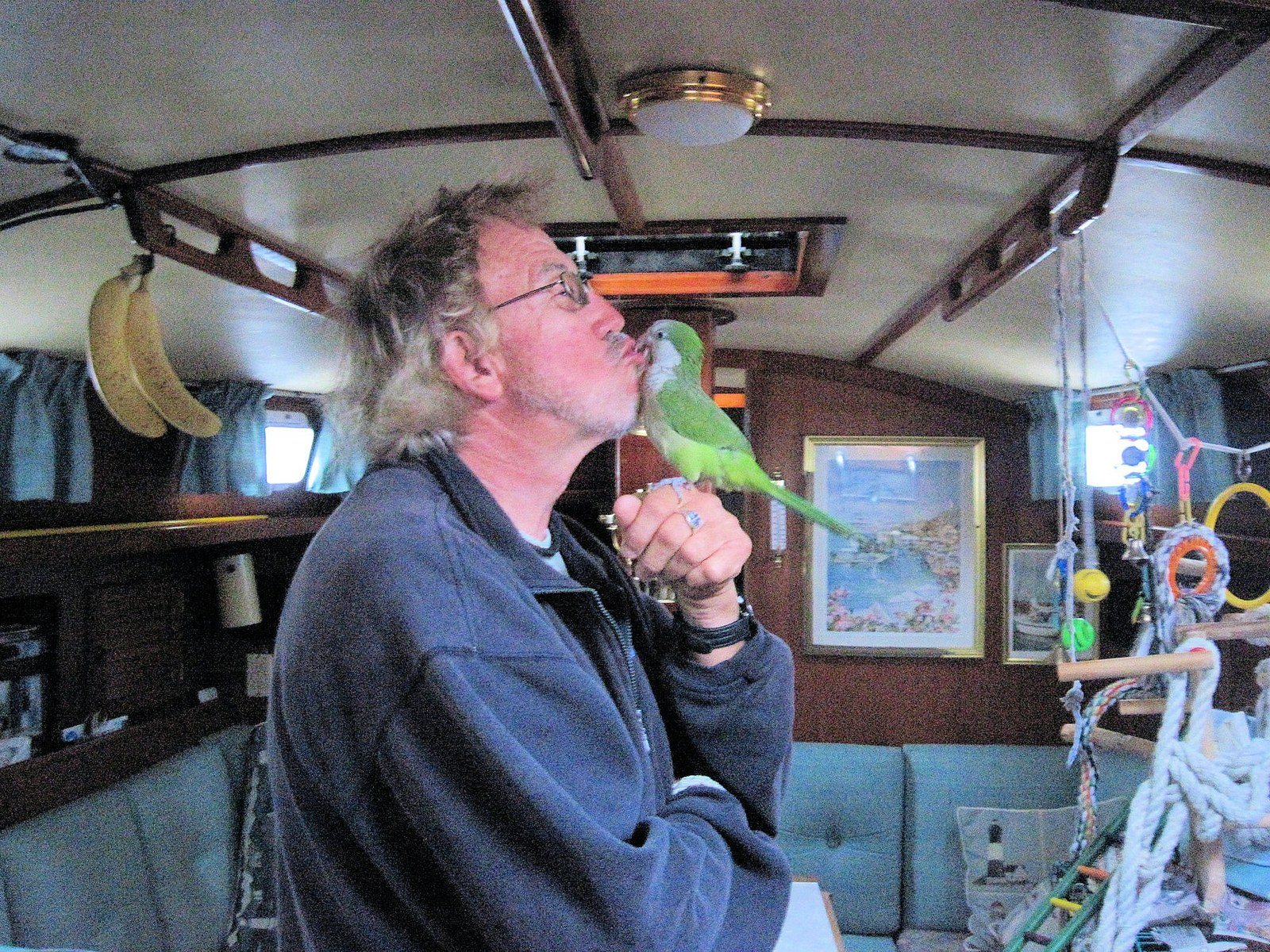 VB MARINA LIFE SAILBOAT & BIRD