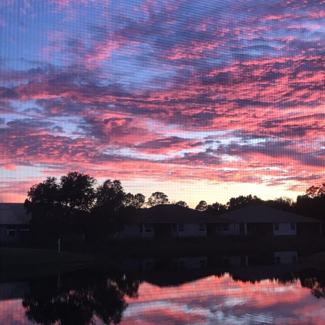 Reflection