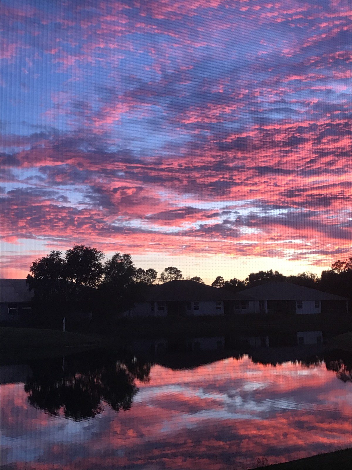 Reflection
