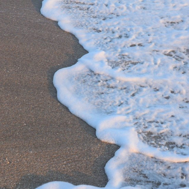 Shore Thing
