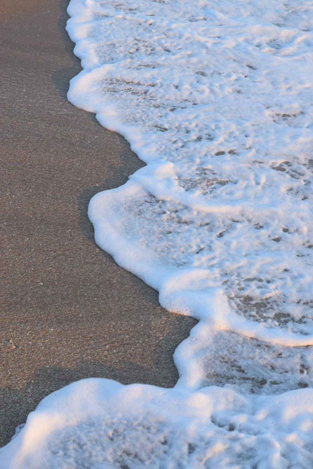 Shore Thing