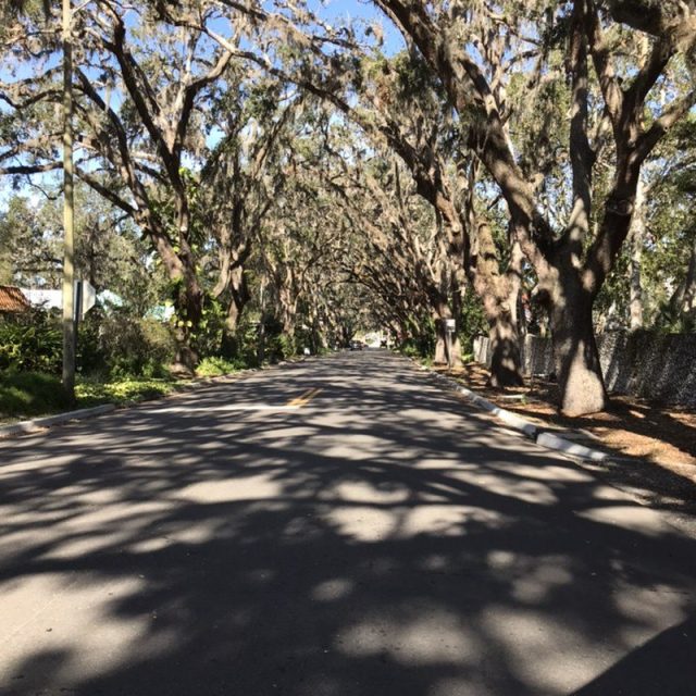 St. Augustine