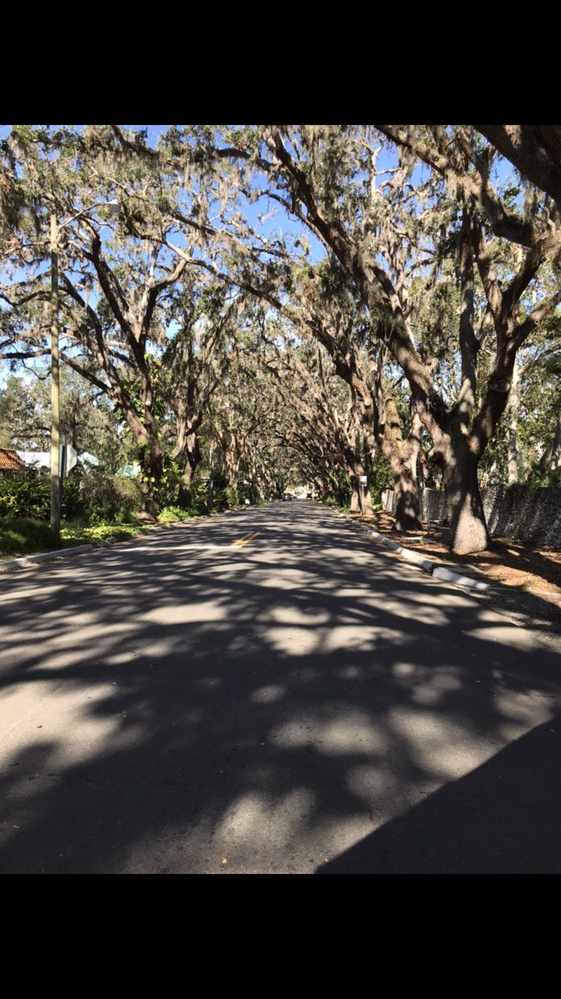 St. Augustine