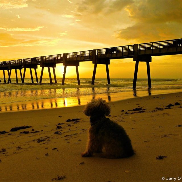 Seaquay Pier Sunrise