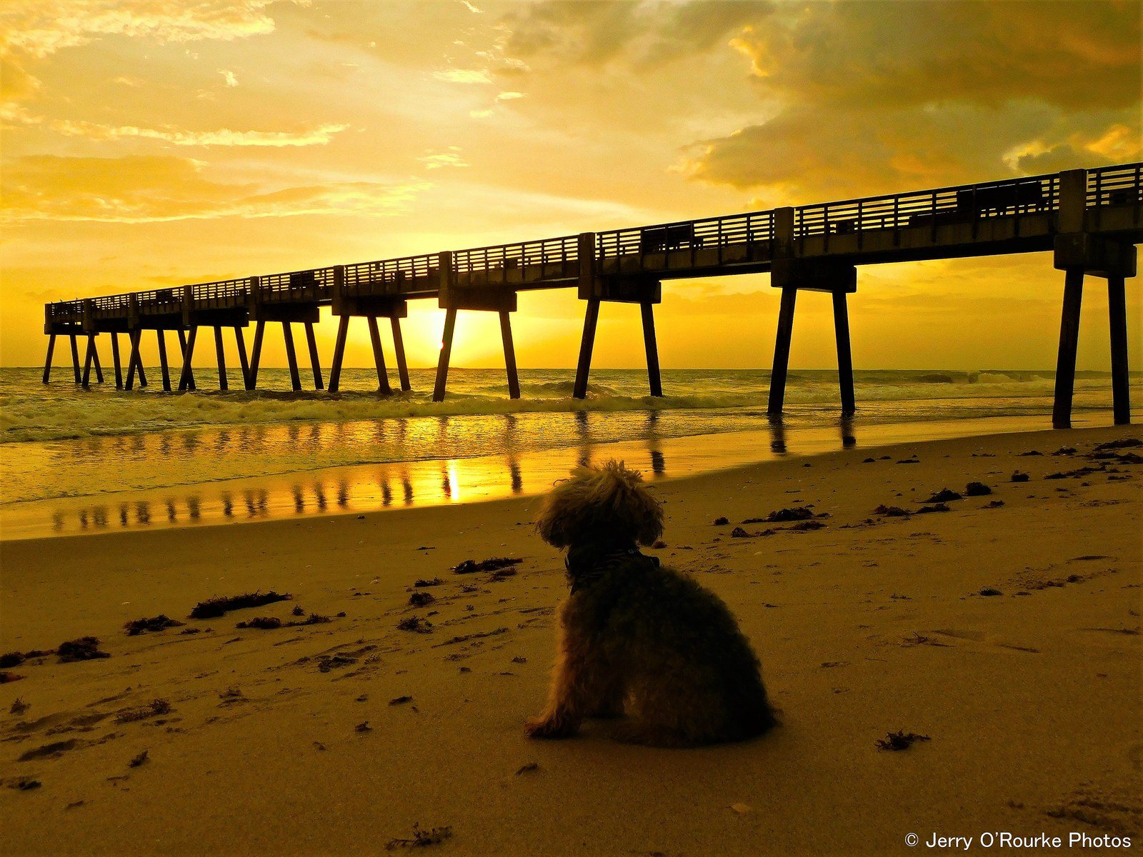 Seaquay Pier Sunrise