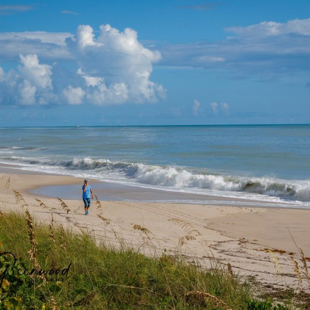 Walking The Beach