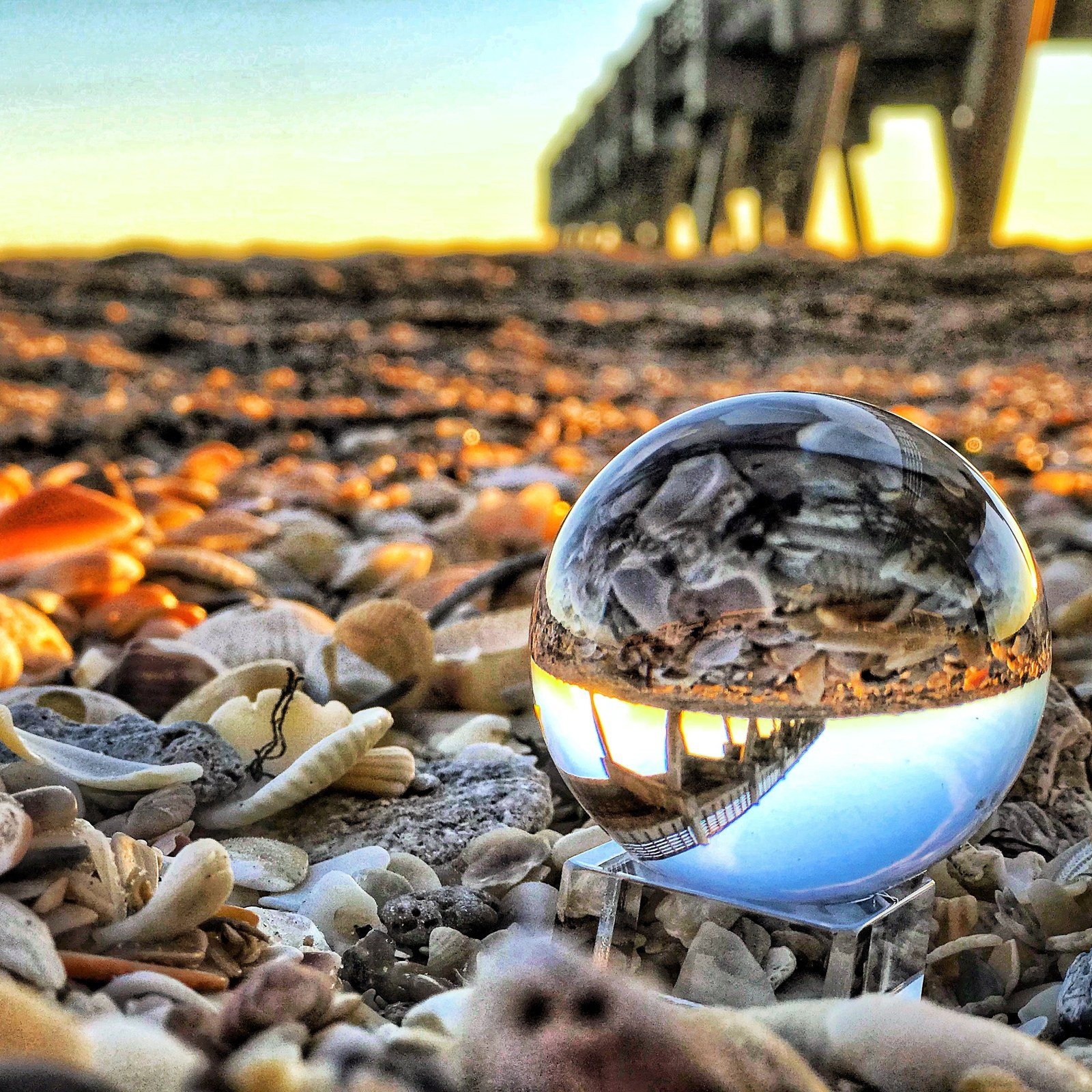 Through The Looking Glass