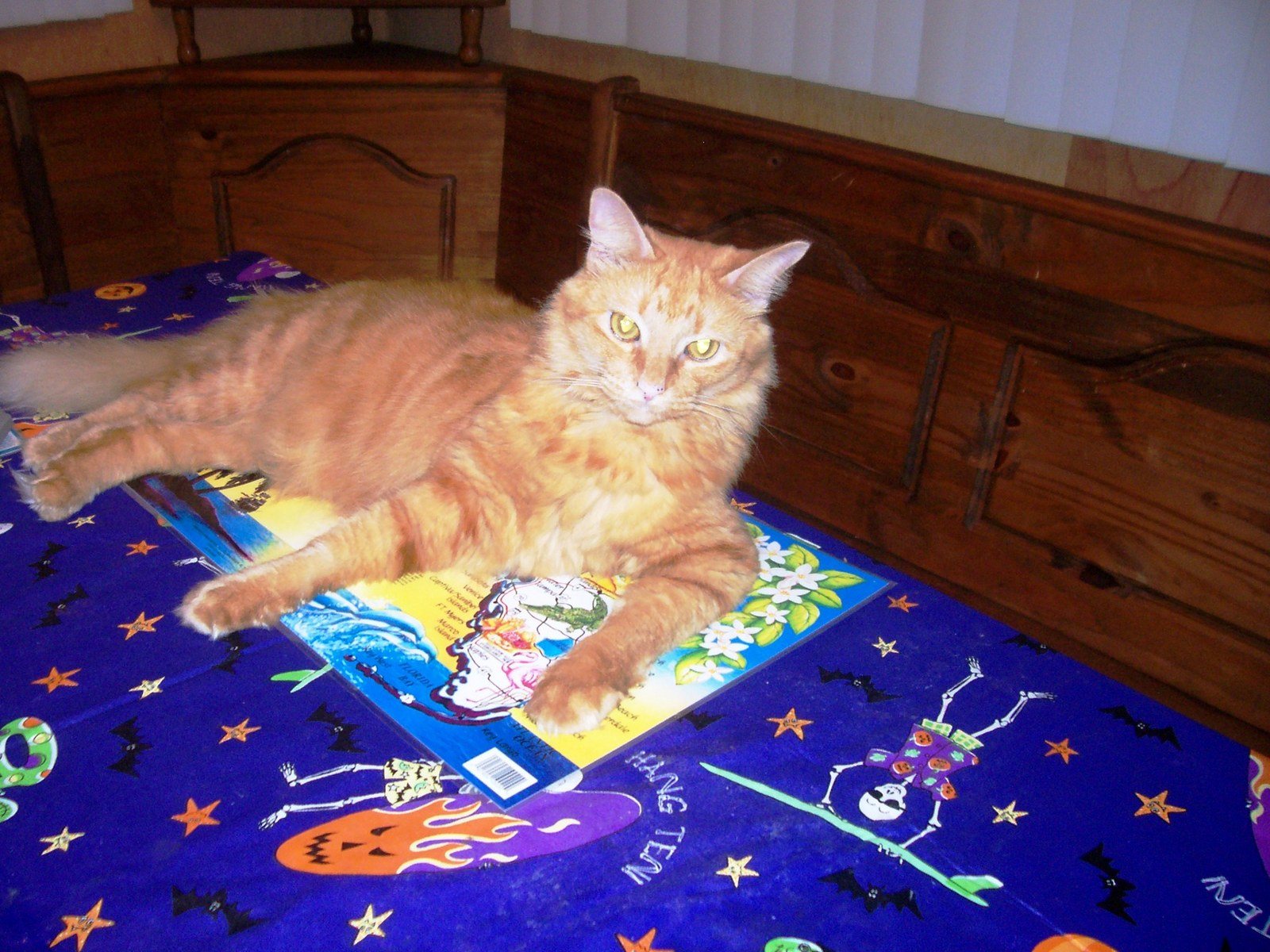 Trick Or Treat, Give Me Something Good To Eat
