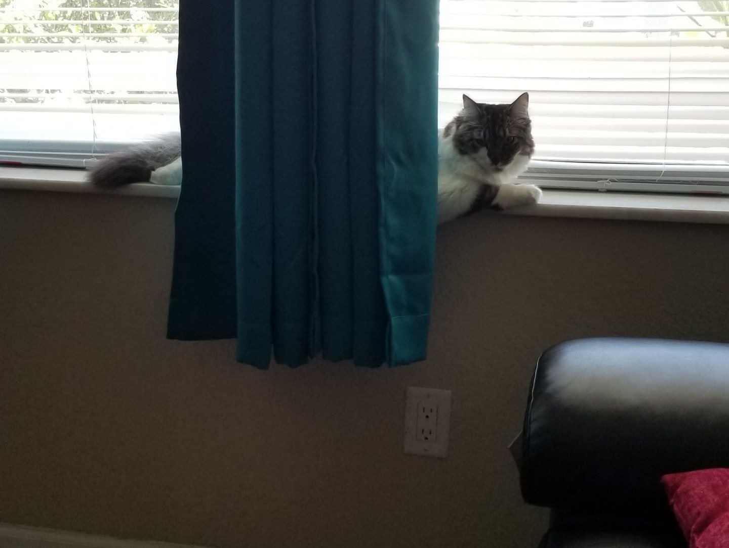 Window Watching