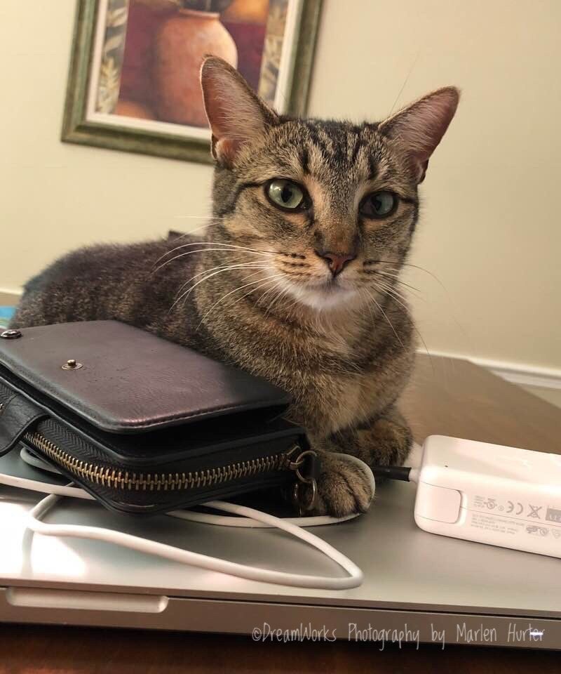 Your Office Is My Office